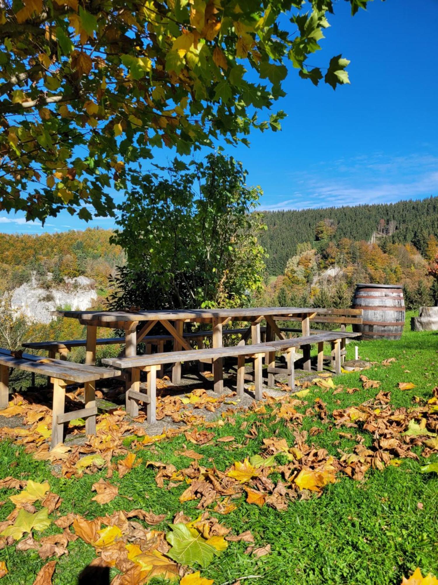 Вилла Kraeuterhof Miesrigl Losenstein Экстерьер фото
