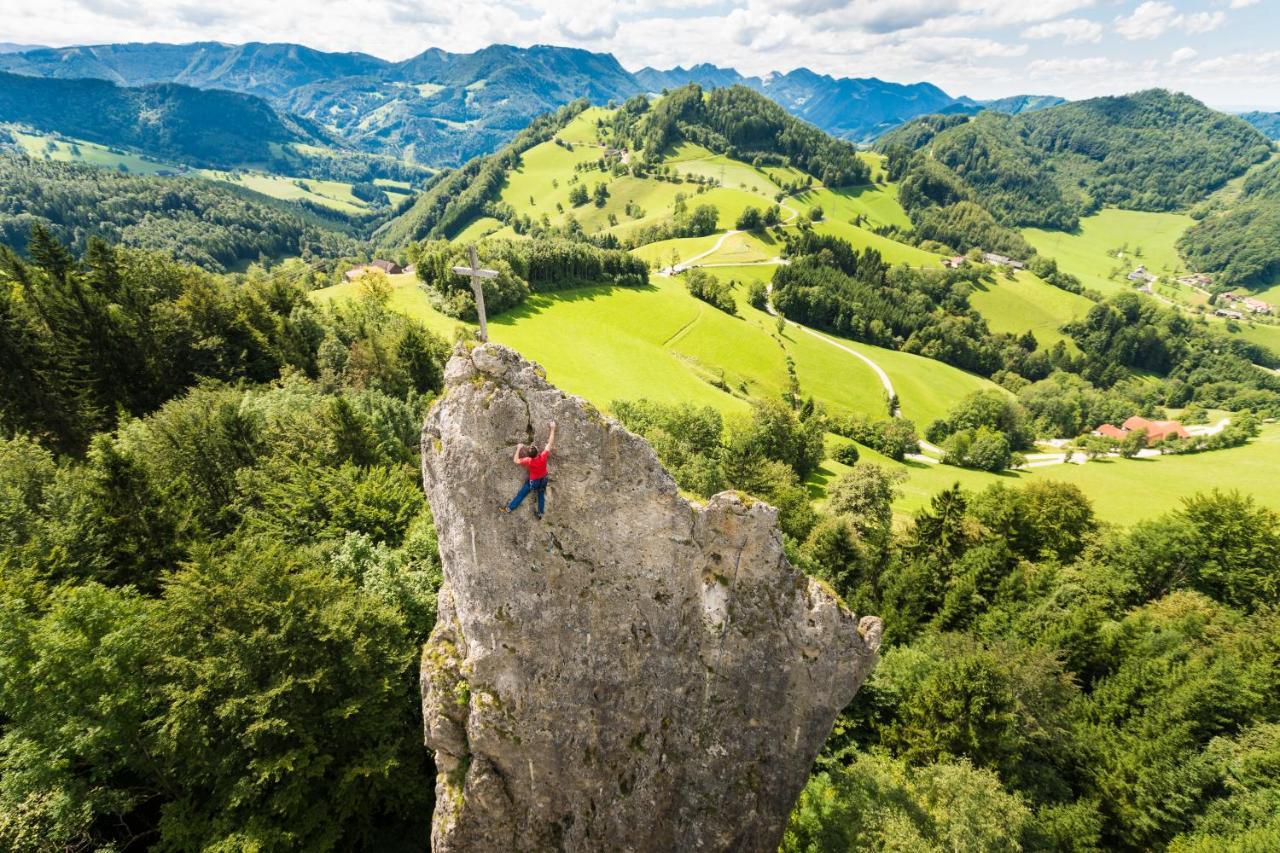Вилла Kraeuterhof Miesrigl Losenstein Экстерьер фото
